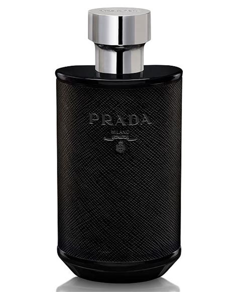 l homme prada macy's|Prada l'homme performance.